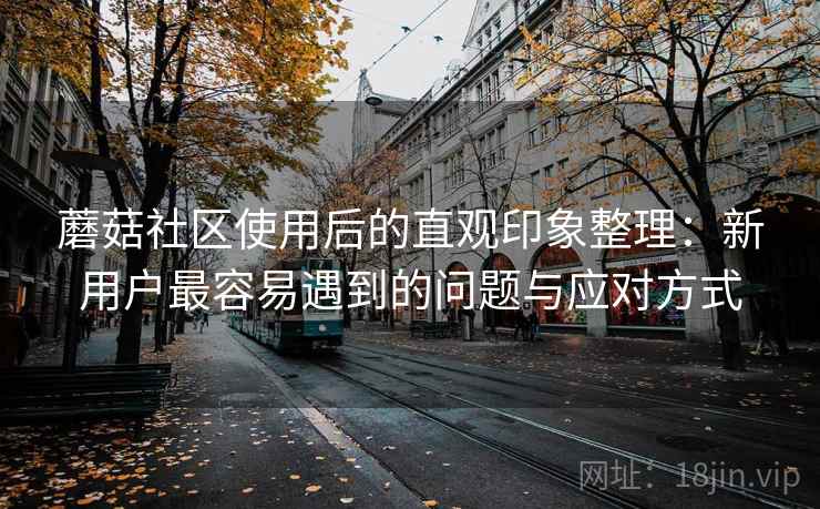 蘑菇社区使用后的直观印象整理：新用户最容易遇到的问题与应对方式