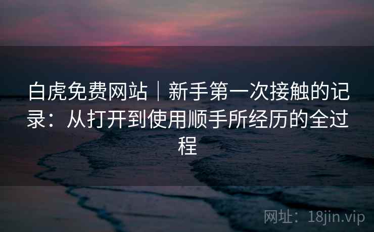 白虎免费网站｜新手第一次接触的记录：从打开到使用顺手所经历的全过程