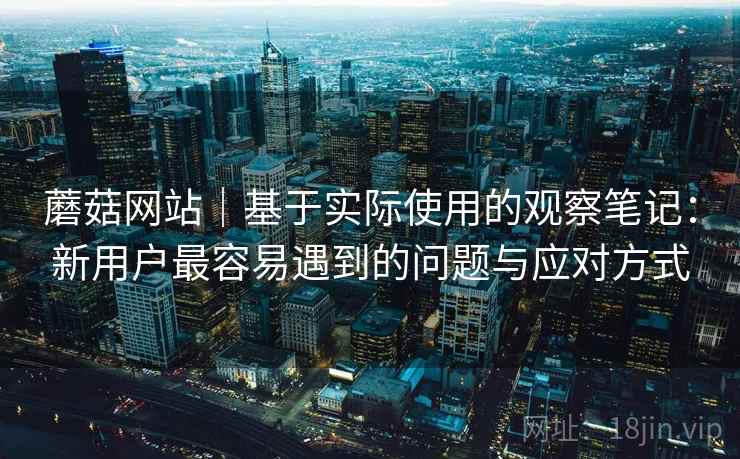 蘑菇网站|基于实际使用的观察笔记:新用户最容易遇到的问题与应对方式