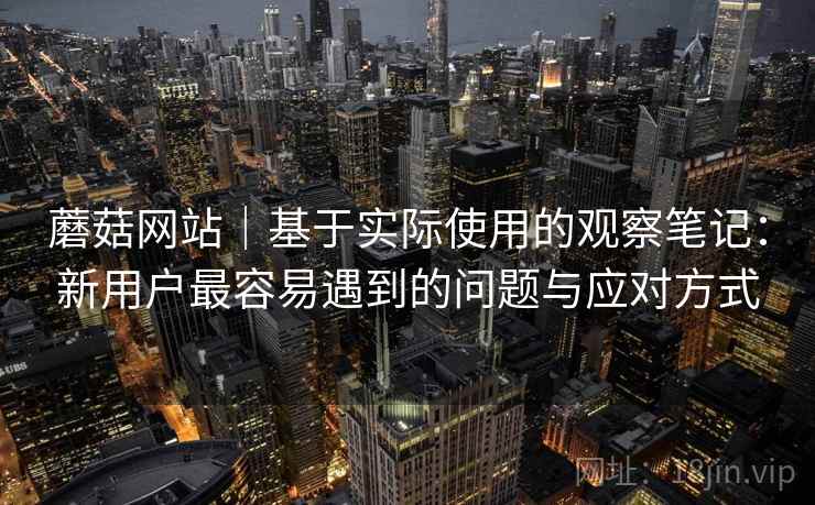 蘑菇网站|基于实际使用的观察笔记:新用户最容易遇到的问题与应对方式