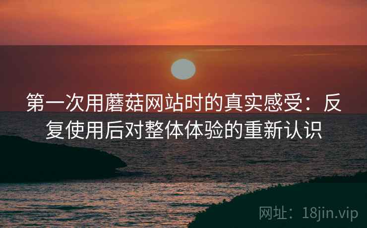 第一次用蘑菇网站时的真实感受：反复使用后对整体体验的重新认识