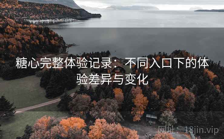 糖心完整体验记录：不同入口下的体验差异与变化
