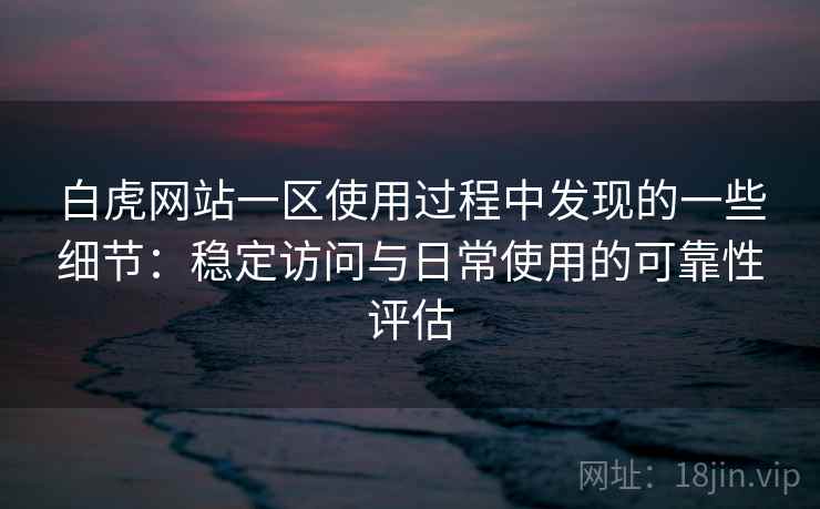 白虎网站一区使用过程中发现的一些细节：稳定访问与日常使用的可靠性评估