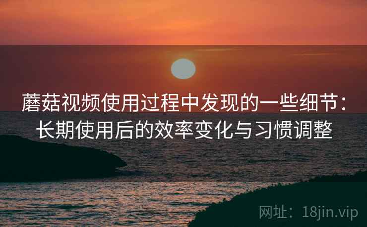 蘑菇视频使用过程中发现的一些细节：长期使用后的效率变化与习惯调整