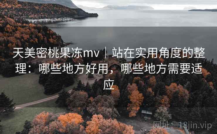 天美密桃果冻mv｜站在实用角度的整理：哪些地方好用，哪些地方需要适应