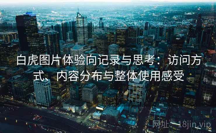 白虎图片体验向记录与思考：访问方式、内容分布与整体使用感受