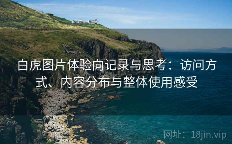 白虎图片体验向记录与思考：访问方式、内容分布与整体使用感受
