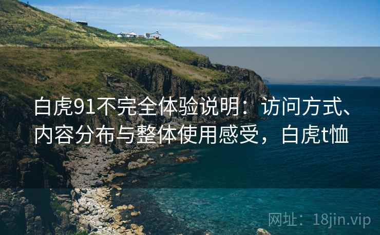 白虎91不完全体验说明：访问方式、内容分布与整体使用感受，白虎t恤
