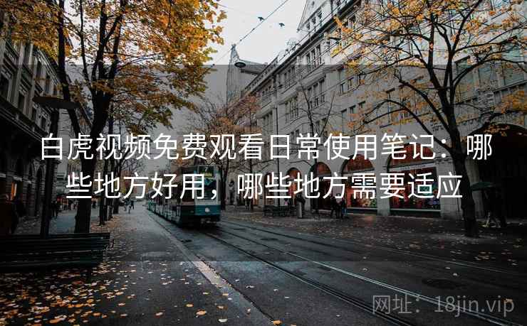 白虎视频免费观看日常使用笔记:哪些地方好用,哪些地方需要适应