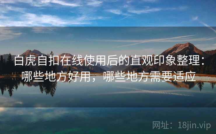 白虎自扣在线使用后的直观印象整理:哪些地方好用,哪些地方需要适应
