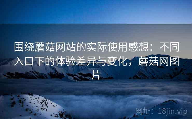 围绕蘑菇网站的实际使用感想:不同入口下的体验差异与变化,蘑菇网图片