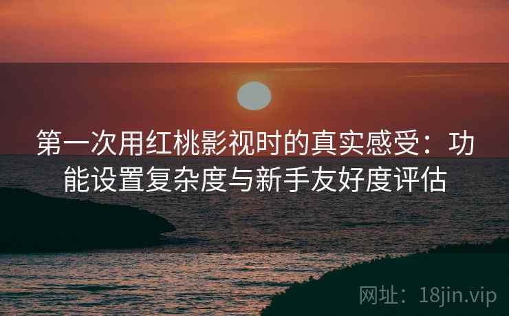 第一次用红桃影视时的真实感受:功能设置复杂度与新手友好度评估