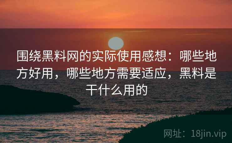 围绕黑料网的实际使用感想:哪些地方好用,哪些地方需要适应,黑料是干什么用的