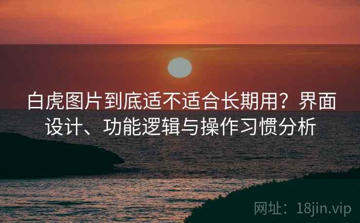 白虎图片到底适不适合长期用?界面设计、功能逻辑与操作习惯分析