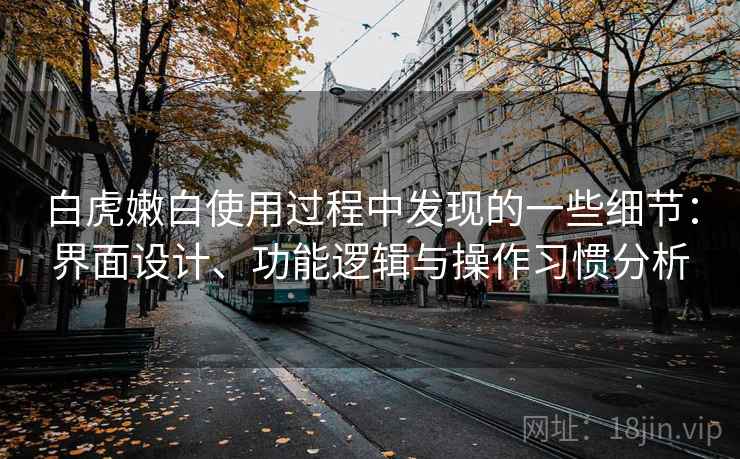 白虎嫩白使用过程中发现的一些细节:界面设计、功能逻辑与操作习惯分析