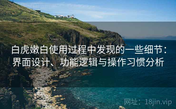 白虎嫩白使用过程中发现的一些细节:界面设计、功能逻辑与操作习惯分析