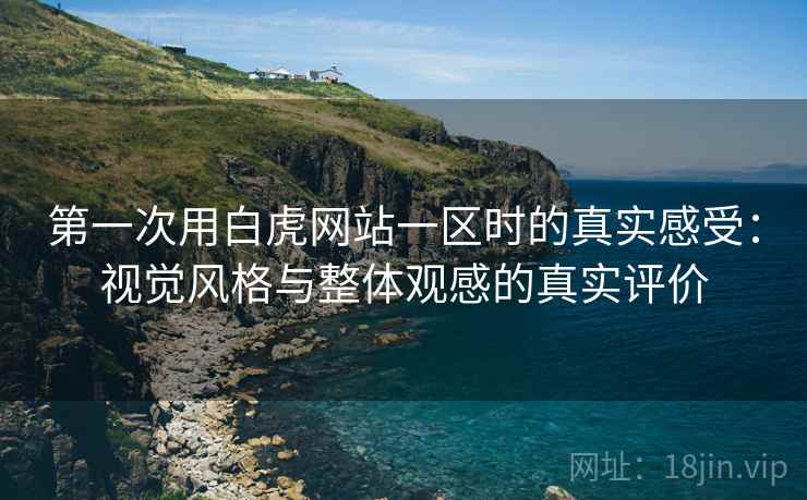 第一次用白虎网站一区时的真实感受:视觉风格与整体观感的真实评价