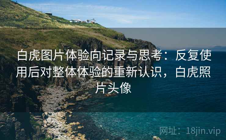 白虎图片体验向记录与思考:反复使用后对整体体验的重新认识,白虎照片头像