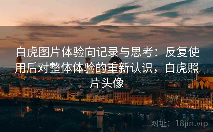 白虎图片体验向记录与思考:反复使用后对整体体验的重新认识,白虎照片头像