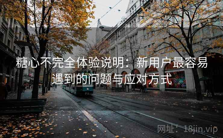 糖心不完全体验说明:新用户最容易遇到的问题与应对方式