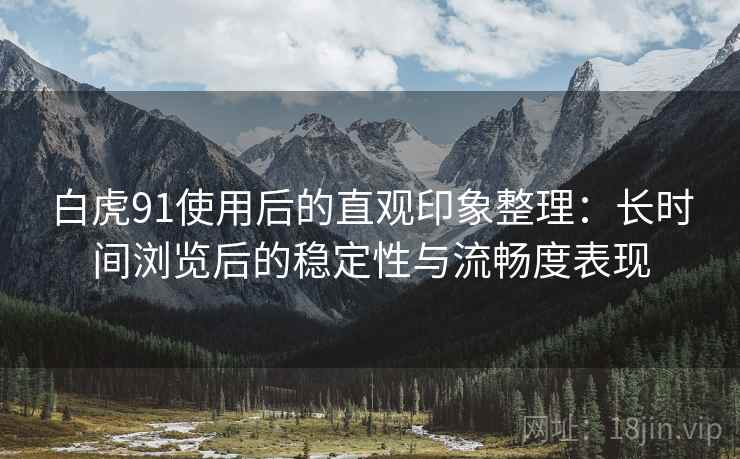 白虎91使用后的直观印象整理:长时间浏览后的稳定性与流畅度表现