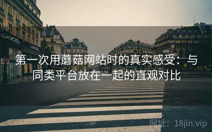 第一次用蘑菇网站时的真实感受:与同类平台放在一起的直观对比