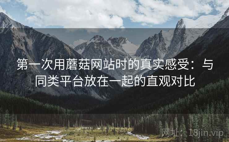 第一次用蘑菇网站时的真实感受:与同类平台放在一起的直观对比
