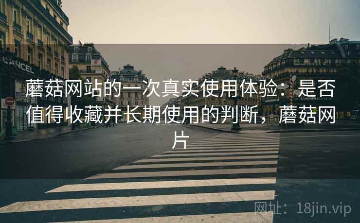 蘑菇网站的一次真实使用体验:是否值得收藏并长期使用的判断,蘑菇网片