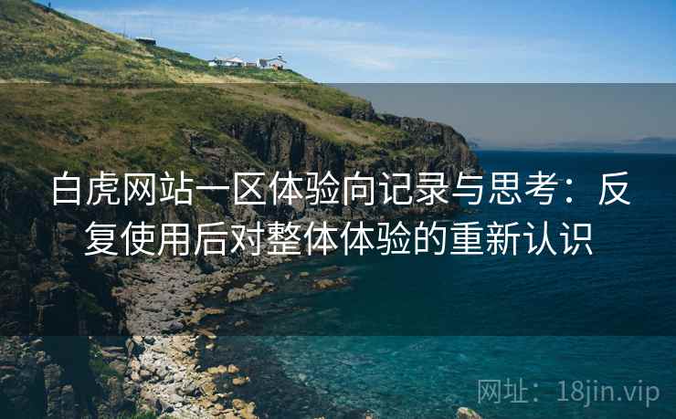 白虎网站一区体验向记录与思考:反复使用后对整体体验的重新认识