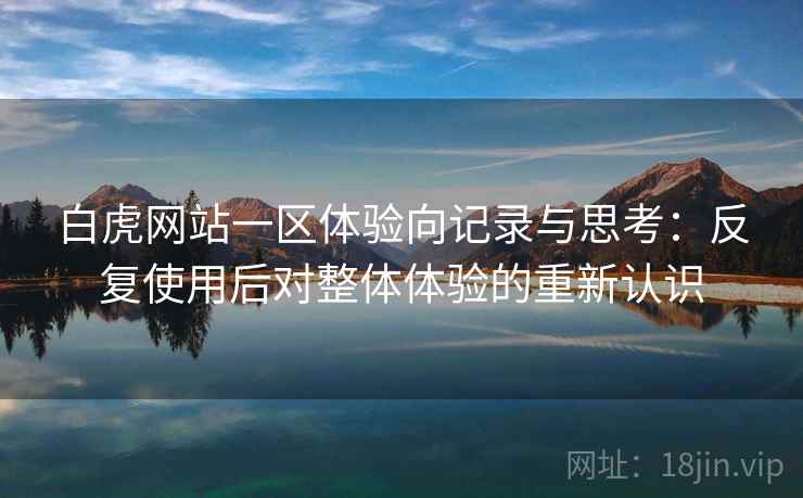 白虎网站一区体验向记录与思考:反复使用后对整体体验的重新认识