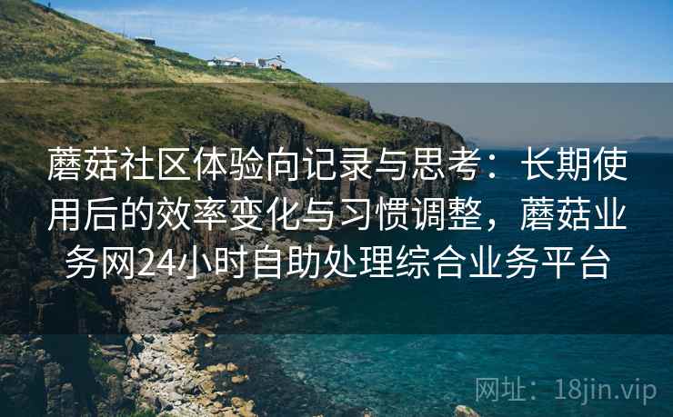蘑菇社区体验向记录与思考:长期使用后的效率变化与习惯调整,蘑菇业务网24小时自助处理综合业务平台