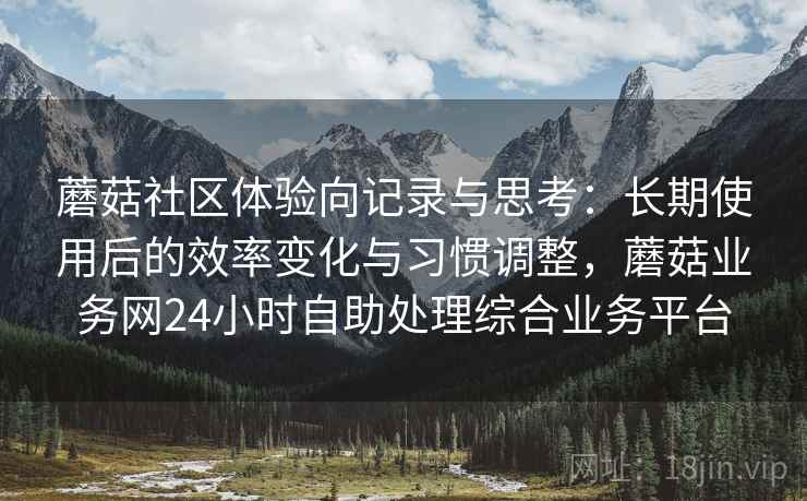 蘑菇社区体验向记录与思考:长期使用后的效率变化与习惯调整,蘑菇业务网24小时自助处理综合业务平台